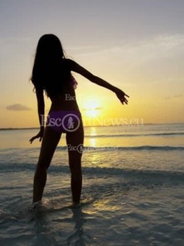Escort in Sofia - Stella VIP